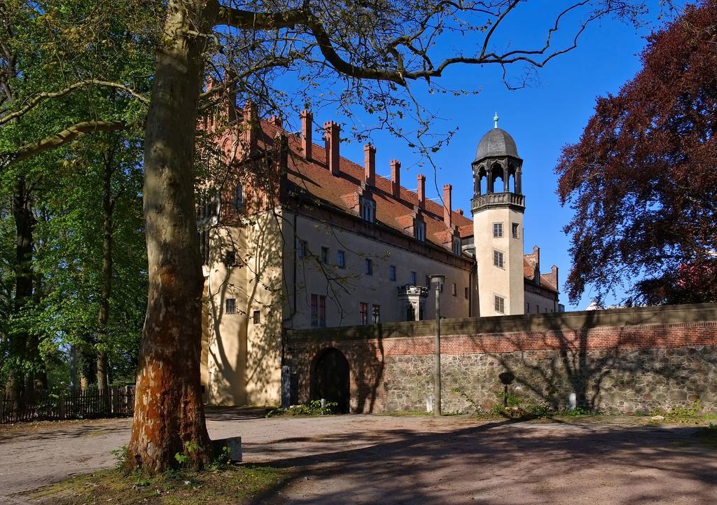 Eule